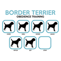 Border Terrier Dog Training