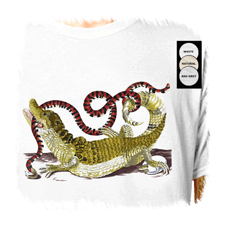 allig-676 : LazyCarrot T-Shirt