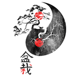 Ying Yang - Bonsai