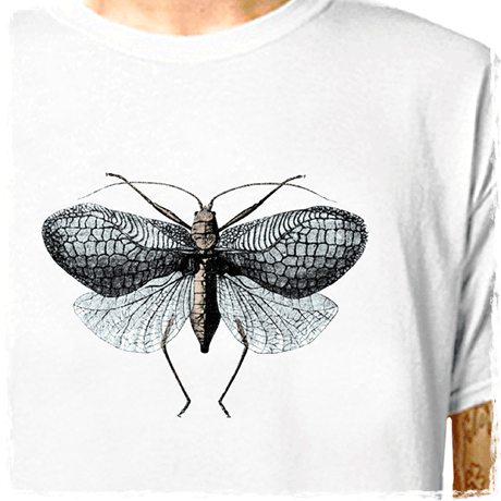 bugss-433 : LazyCarrot T-Shirt