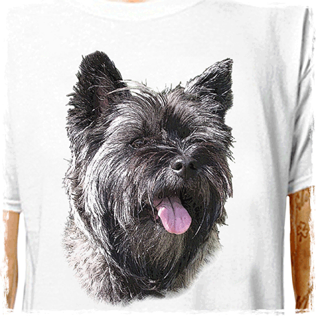 cairn-435 : LazyCarrot T-Shirt