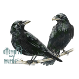 a murder of crows