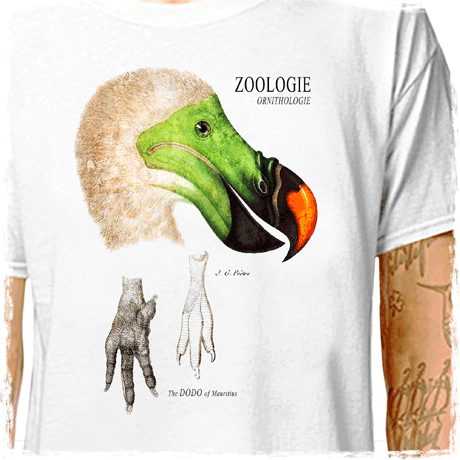 davin470 : LazyCarrot T-Shirt