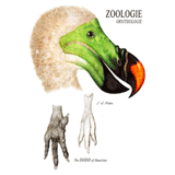 The Dodo T-Shirt