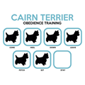 Cairn Terrier Dog Training