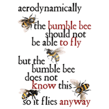 Bumble Bee Aerodynamics tshirt