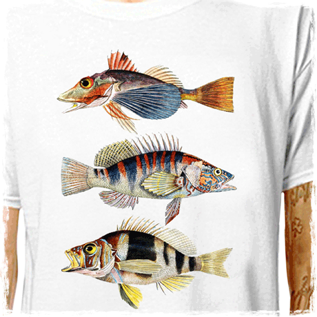davin470 : LazyCarrot T-Shirt