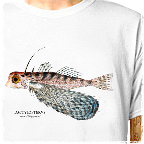 davin470 : LazyCarrot T-Shirt