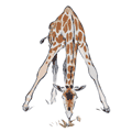 Baby Giraffe Calf - cute animal tshirt