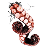 octopus french postcard