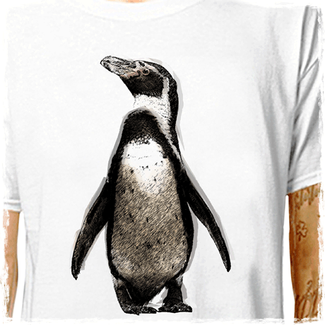 davin470 : LazyCarrot T-Shirt