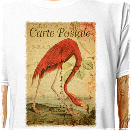 davin470 : LazyCarrot T-Shirt