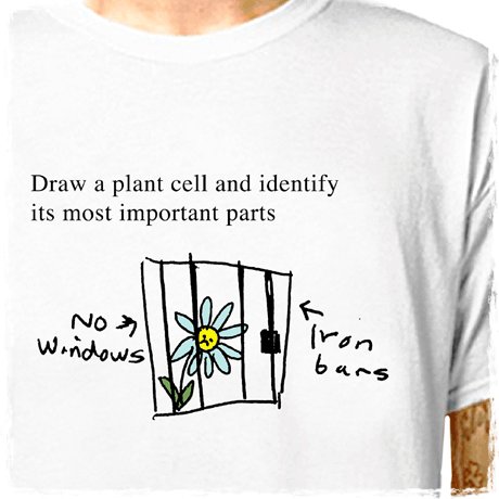 davin470 : LazyCarrot T-Shirt