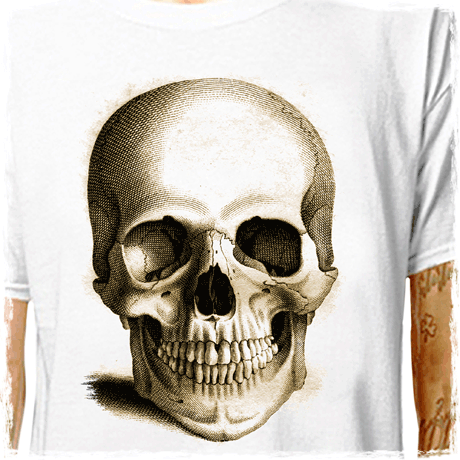 davin470 : LazyCarrot T-Shirt