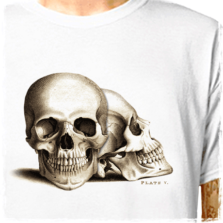 davin470 : LazyCarrot T-Shirt