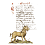Unicorn - Ancient Greek