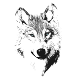 Arctic Wolf t-shirt