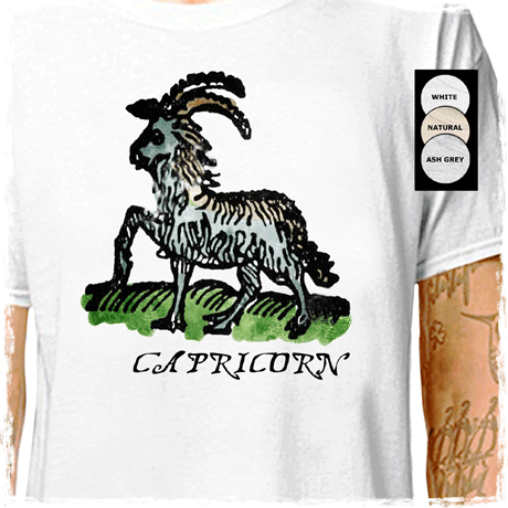 zodia-702 : LazyCarrot T-Shirt