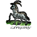 LazyCarrot.co.uk