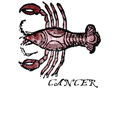 LazyCarrot.co.uk