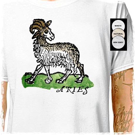 zodia-709 : LazyCarrot T-Shirt